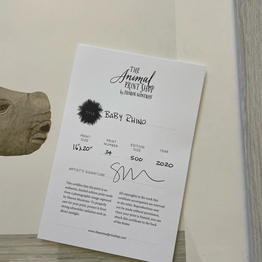 Restoration Hardware Gray Rhino Art Print